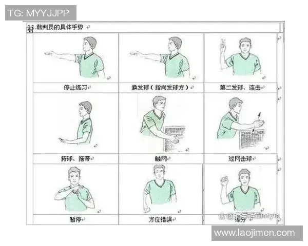 羽毛球赛事裁判规则更新及影响评估